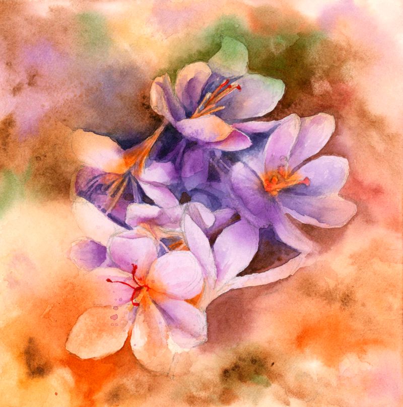 Malen mit Aquarellfarben 263-72007